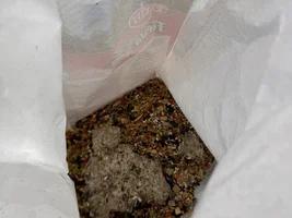 Contaminated feed issue