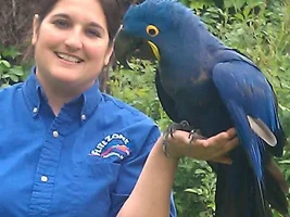 Train Your Companion Parrot To Participate In It's Own Veterinary Care