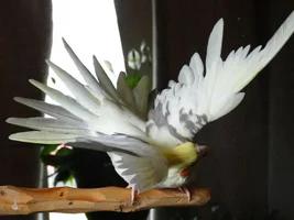 So happy