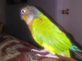Hello!