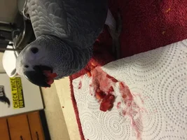 Weaning Regression?