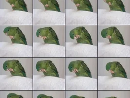 Share a quick picture