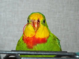 Not much change after being on medication