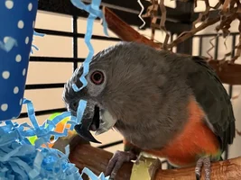 We have a 30th BIRTHDAY! (was 7/31)