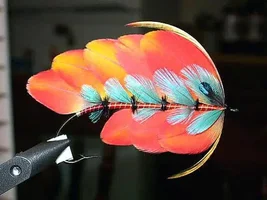 Feathers