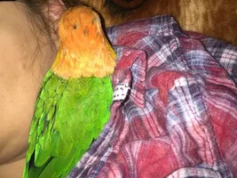 Me and my Caique