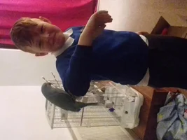 Is my new Indian ringneck comfotable