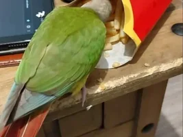 Hes so possessive over fries!