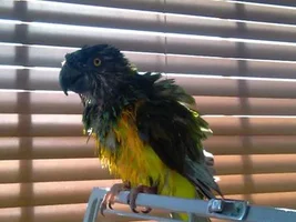 Billy's first bath