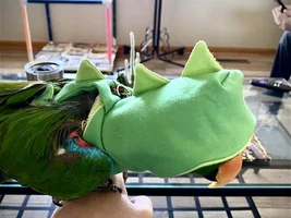 Parrot Clothing