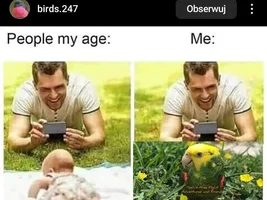 The best Bird meme!!