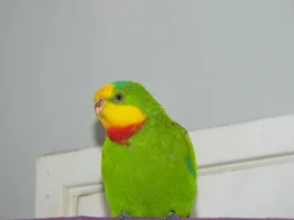 Not much change after being on medication