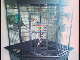 New cage for Punku!