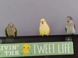 Taking requests