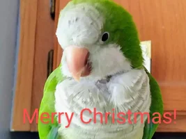 December 2020 POTM Contest