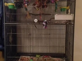 Cage Help?