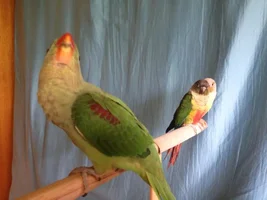 Photo time!