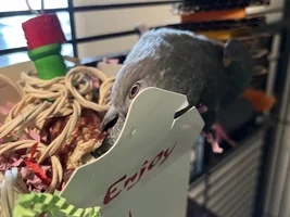 We have a (belated) BIRTHDAY!