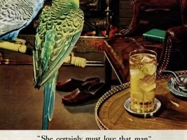 Old advertisements and such