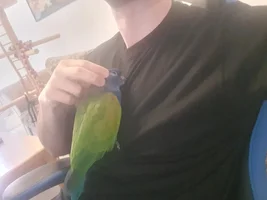 Head/neck rubs in certain positions