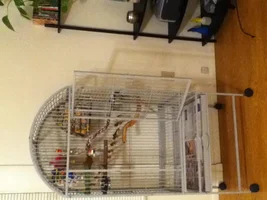 Lukah's new cage!! (: