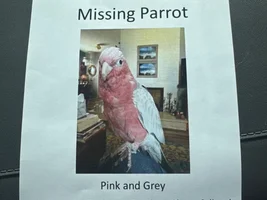 Update/Request