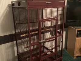 Lost my Parrot of 36 years.   Need to sell her cages and such.  Wonder how much to ask for them