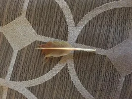 I need serious help - Conure with her tail