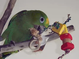 Biting my partner