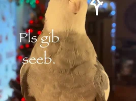 December 2023 POTM Contest!