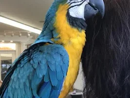 WakaWaka's Old Photo Album