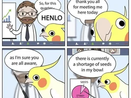 The best Bird meme!!