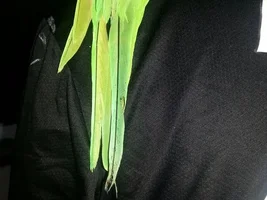 5 months ringneck poor feather