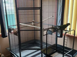 Need advice on cage size
