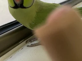Got bitten..