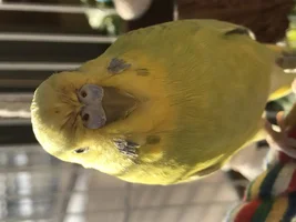 Please help!
