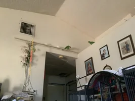 Share a quick picture