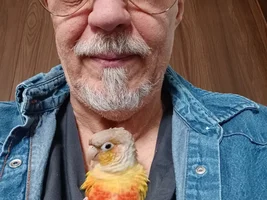 Found Stray can you help with age