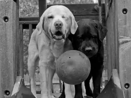 Tami2's Old Photo Album