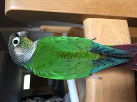 Pretty girl