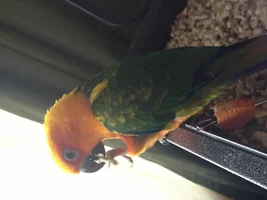 This is my cheech!