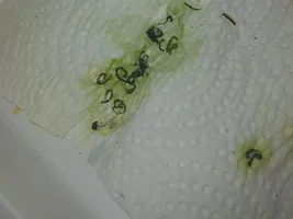 Is this normal?