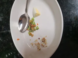 Need some advice on adding variety to my budgie's diet. They only want to eat eggs and seeds.