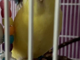 New baby!