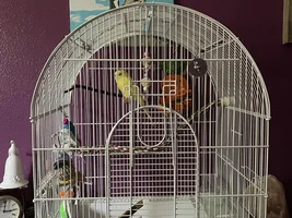 New baby!