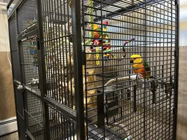 In Need of rehome