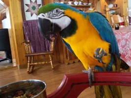 Breakfast Time