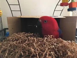 Her Box!