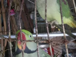 Plz help urgent..............