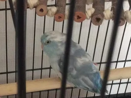 Hello and help please